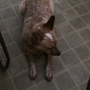 Meet your Posher, Jodi